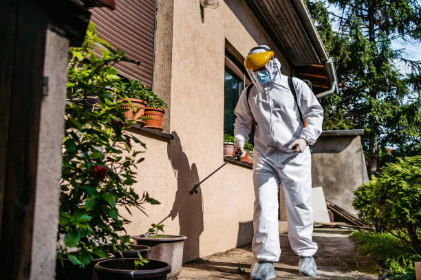 Best Flea Control Services  in Piedmont, SD
