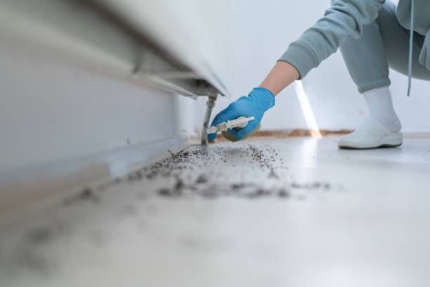 Best Wildlife Control Services  in Piedmont, SD