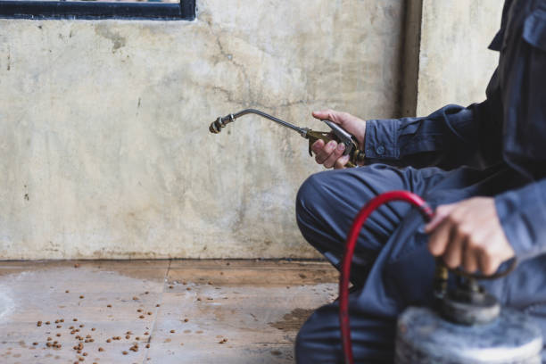 Best Emergency Pest Control  in Piedmont, SD