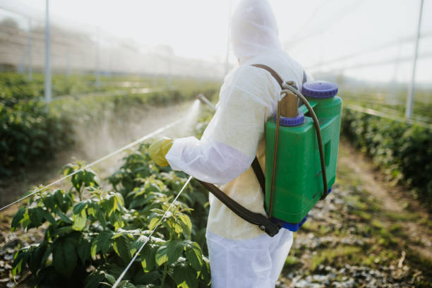 Best Pest Prevention Services  in Piedmont, SD